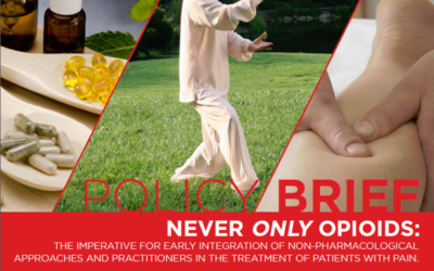 Policy Brief: Never Only Opioids
